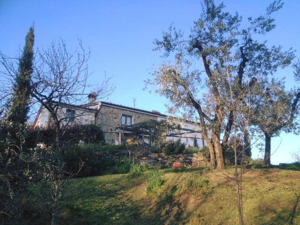 Agriturismo Menghino Nievole Esterno foto