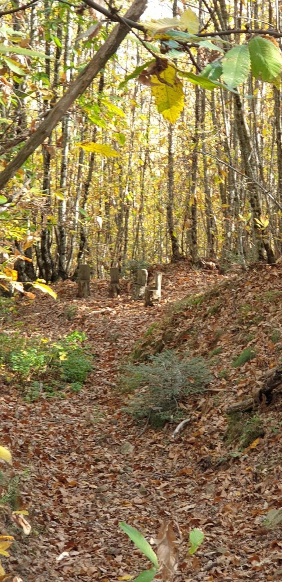 Agriturismo Menghino Nievole Esterno foto